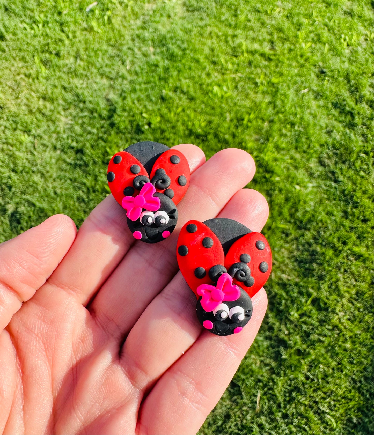 Ready to ship ladybug